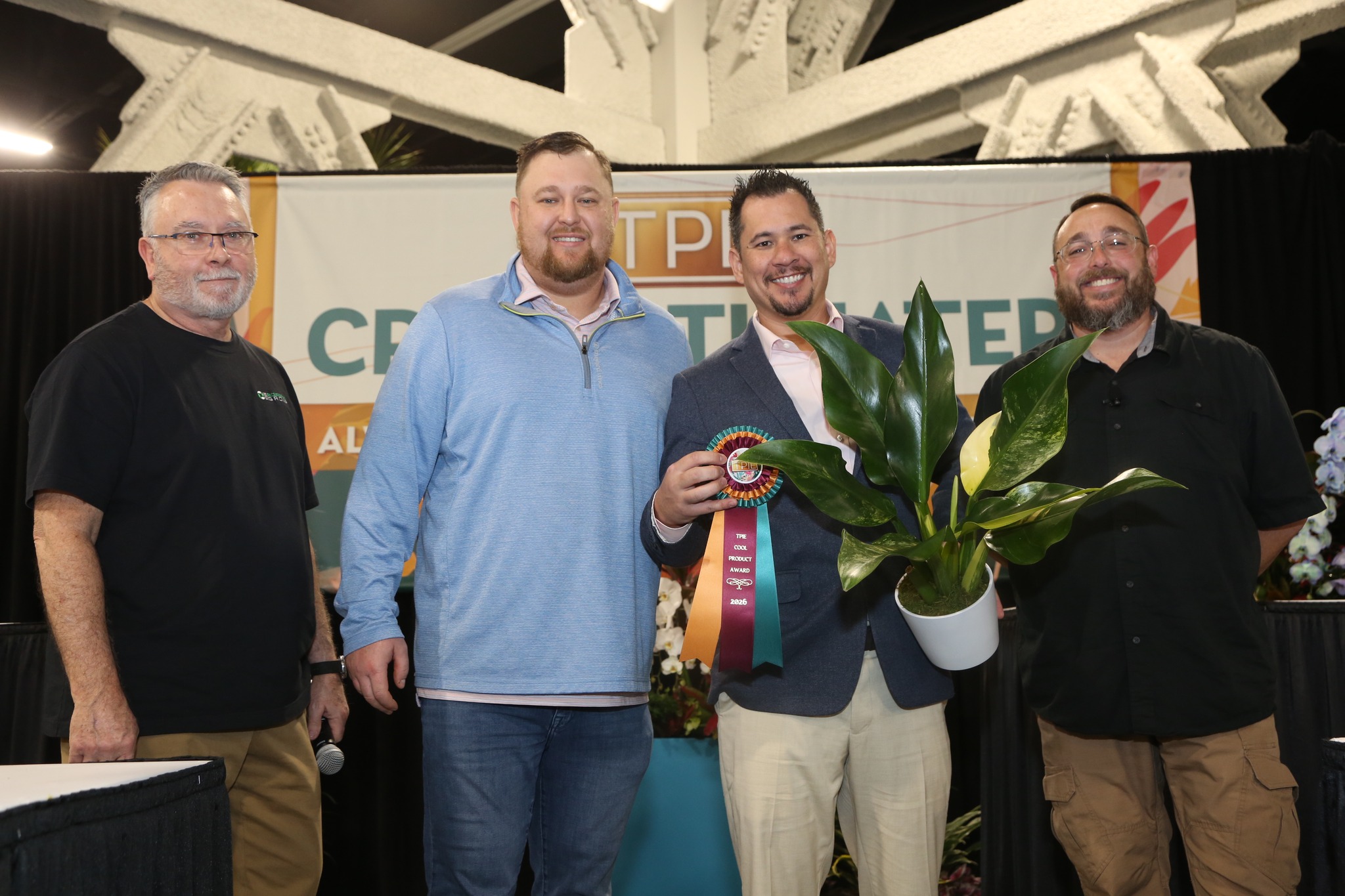 Philodendron Fat Boy Variegated